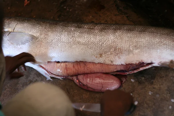 Fish Market, Africa — Stock Photo, Image