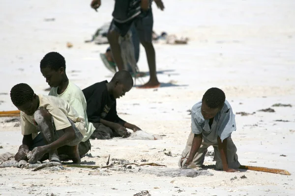 Spiaggia di Matemwe, zanzibar — Foto Stock