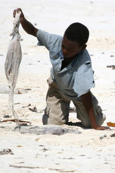 Spiaggia di Matemwe, zanzibar — Foto Stock