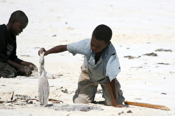 Matemwe Beach, Zanzibar — Stok fotoğraf