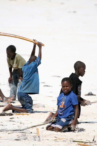 Matemwe Beach, Zanzibar — Stockfoto