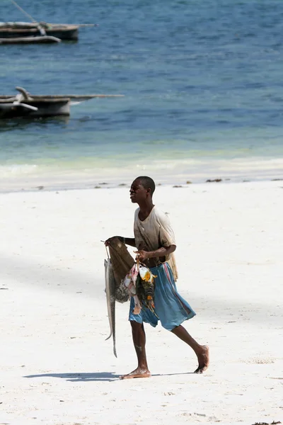 Matemwe Beach, Zanzibar — Stock fotografie