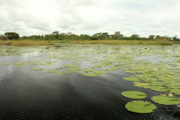 Sjön landskap - sjön bisina - uganda, Afrika — Stockfoto