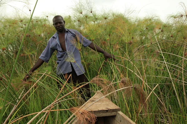 Fiskare - uganda, Afrika — Stockfoto