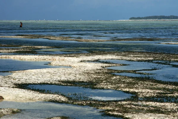 Praia de Matemwe, Zanzibar — Fotografia de Stock