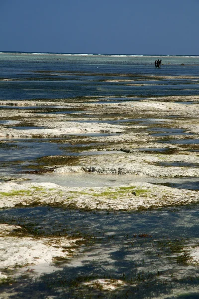 Plaża matemwe, zanzibar — Zdjęcie stockowe