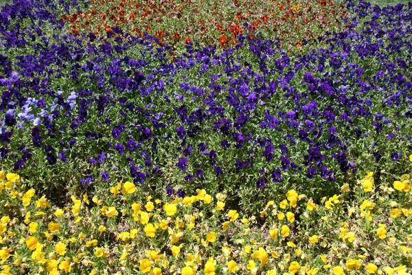 Odori Park, Sapporo City, Japan — Stockfoto