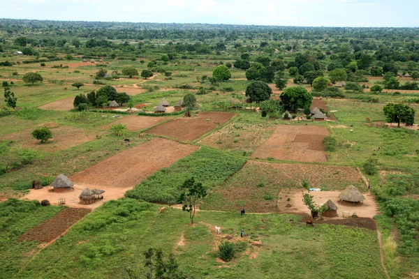 Tididiek rock - uganda, Afrika — Stockfoto