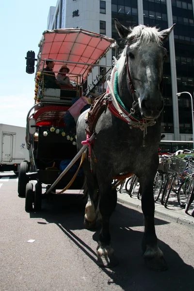 Paard getrokken vervoer, sapporo, japan — Stockfoto
