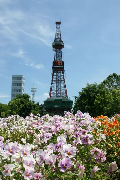 Wieża telewizyjna - odori park, miasta sapporo, Japonia — Zdjęcie stockowe