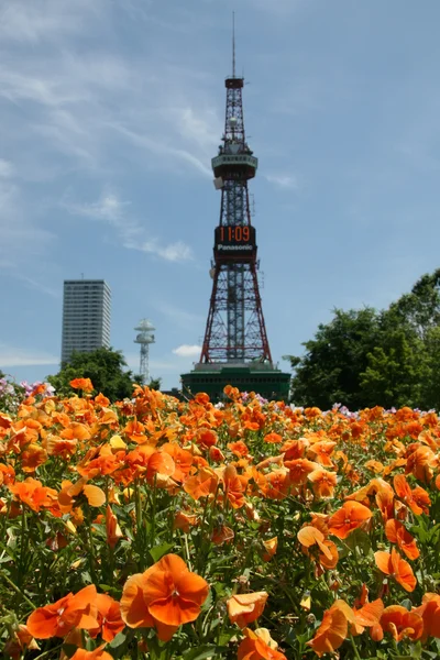 Wieża telewizyjna - odori park, miasta sapporo, Japonia — Zdjęcie stockowe