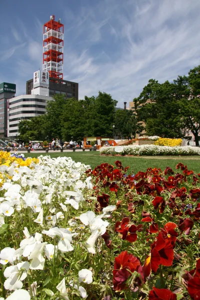 Parque Odori, Ciudad de Sapporo, Japón —  Fotos de Stock