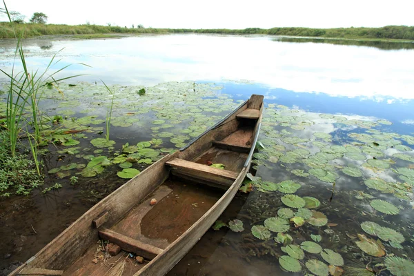 African River Setting - Agu River - Uganda, Africa — Stock Photo, Image