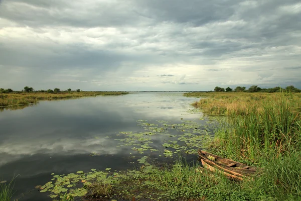 Rzeki Afryki ustawienie - agu rzeki - uganda, Afryka — Zdjęcie stockowe