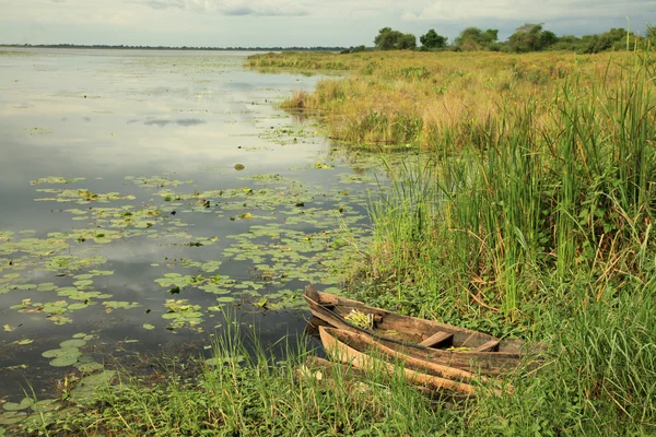 Afrikanska floden inställning - agu river - uganda, Afrika — Stockfoto