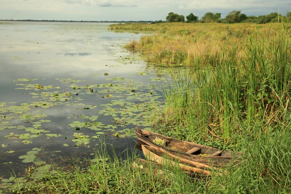 Africká řeka nastavení - agu řeky - uganda, Afrika — Stock fotografie