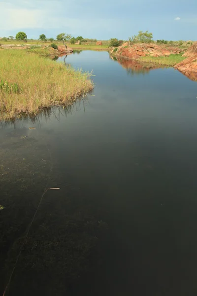 Abuket river, uganda, afrika — Stockfoto