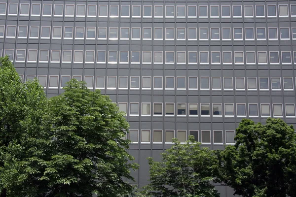 Office Building - Odori Park, Sapporo City, Japan — Stock Photo, Image