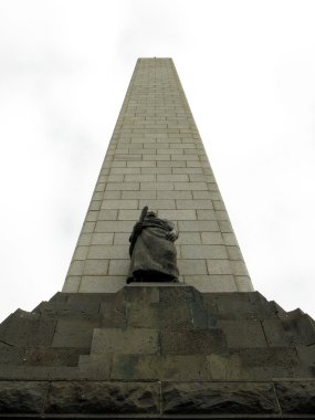 bir tree hill - Swansea, Yeni Zelanda