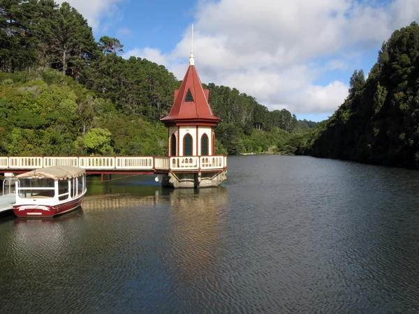 Karori vadon élő állatok Sancutuary - Új-Zéland — Stock Fotó