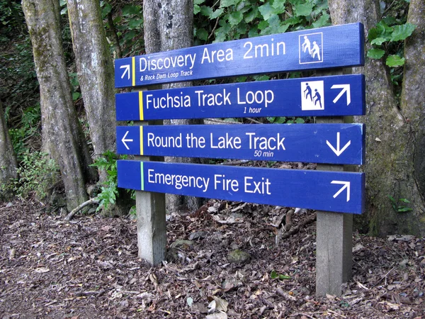 Forest - Karori Wildlife Sancutuary - New Zealand — Stock Photo, Image