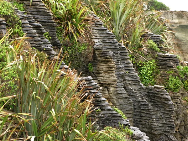 Panqueca Rocks, Nova Zelândia — Fotografia de Stock