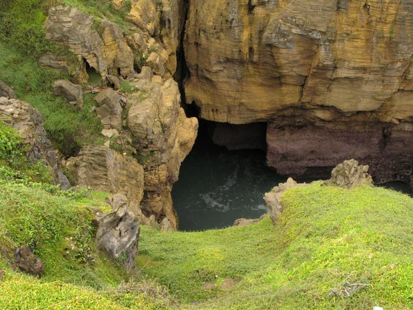 Pfannkuchen-Felsen, Neuseeland — Stockfoto