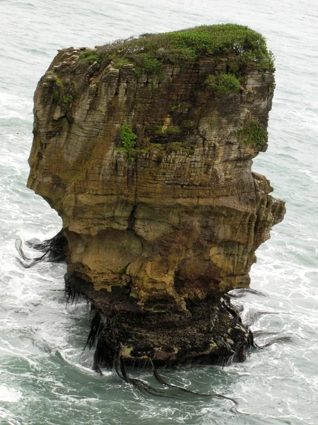 新西兰Pancake Rocks — 图库照片