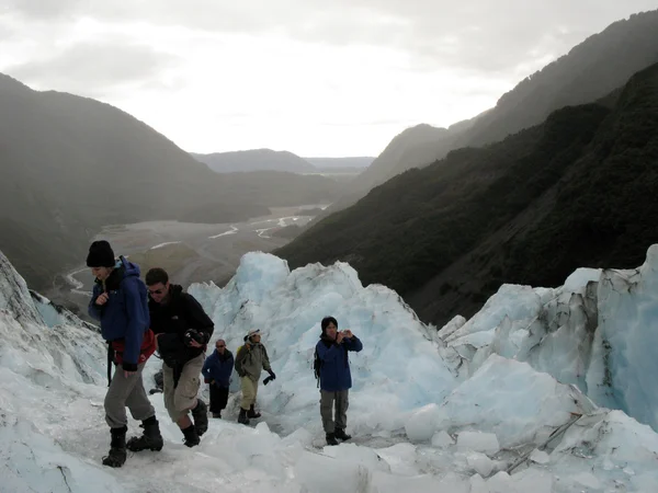 프란츠 요제프 빙하, 뉴질랜드 — 스톡 사진