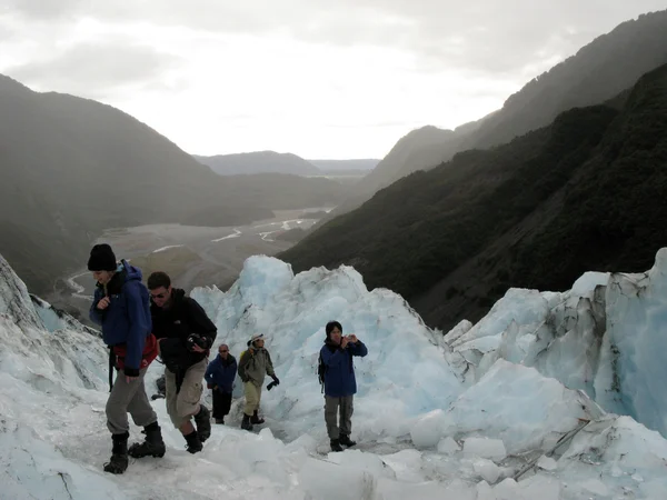 Franz Josef gletser, Selandia Baru — Stok Foto