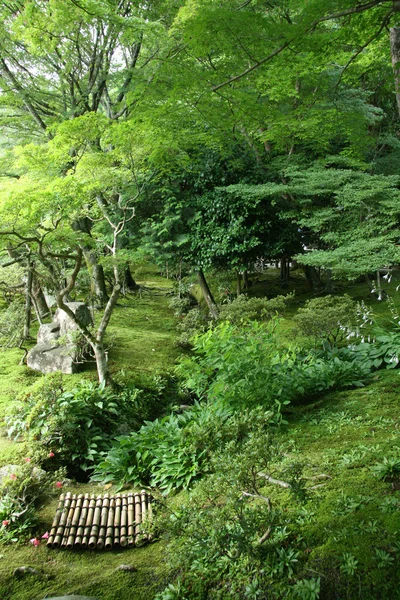 Japonská zahrada - ginkakuji chrám, kyoto, Japonsko — Stock fotografie