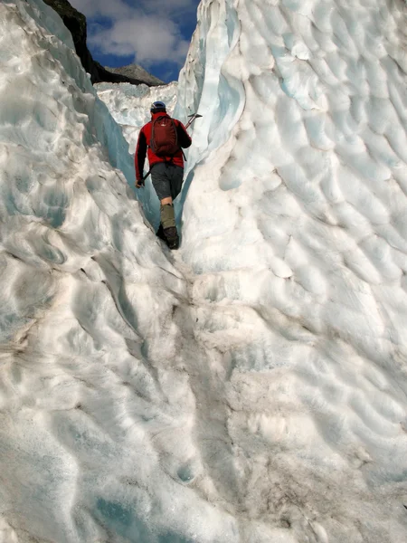 Glaciar Franz Josef, Nova Zelândia — Fotografia de Stock