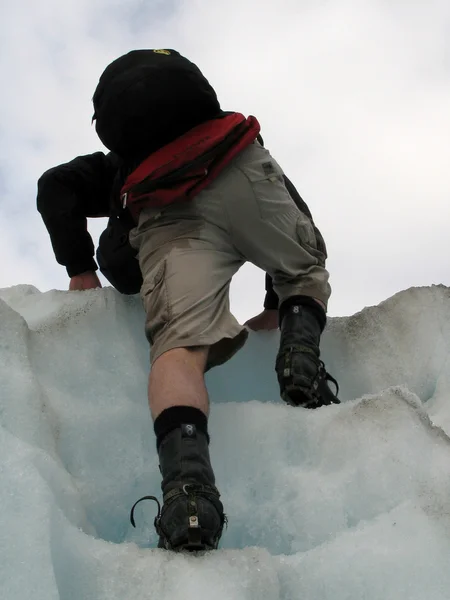 Glaciar Franz Josef, Nueva Zelanda — Foto de Stock