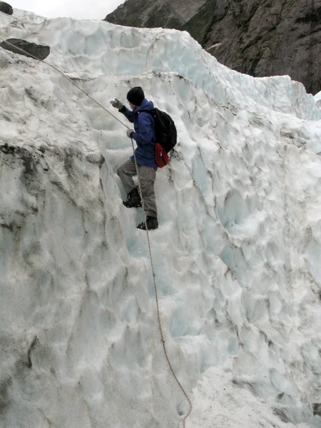 Glaciar Franz Josef, Nova Zelândia — Fotografia de Stock