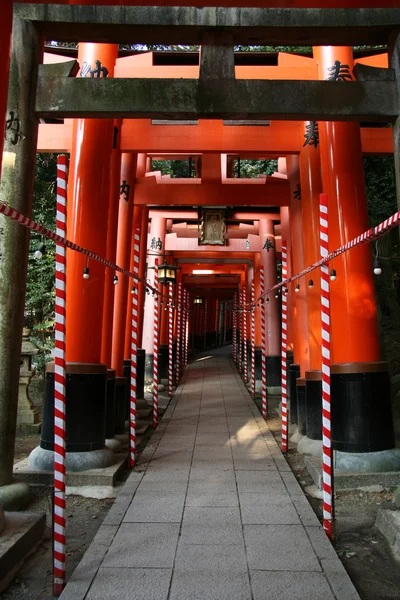 伏見稲荷、京都府, 日本 — ストック写真