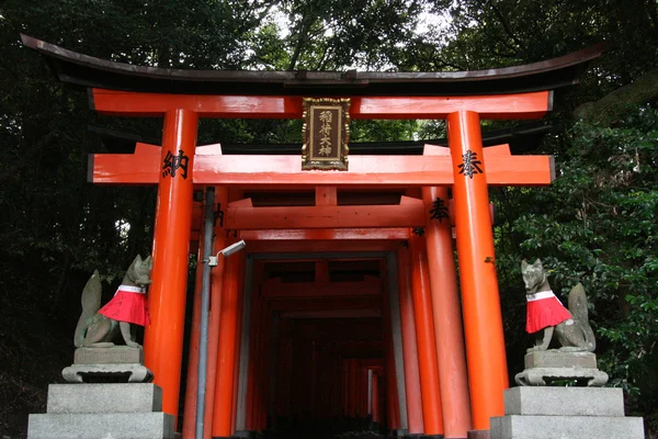 Fushimi Inari, Kyoto, Japão — Fotografia de Stock