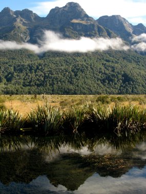 Milford Sound, Te Wahipounamu, Yeni Zelanda