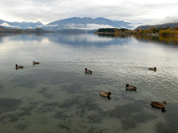 Lago Wanaka, Nueva Zelanda — Foto de Stock