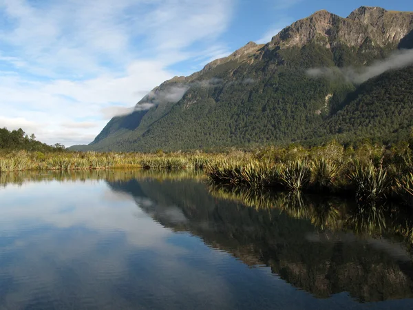 Milford Sound, Te Wahipounamu, Yeni Zelanda — Stok fotoğraf