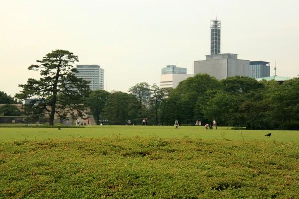 Keleti Palace Gardens, Tokyo, Japán — Stock Fotó