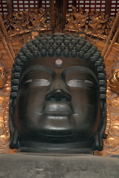 Boeddha - todaiji tempel, nara, japan — Stockfoto