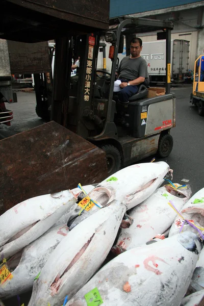 Перевезення риби - рибний Tsukiji ринок, Токіо, Японія — стокове фото