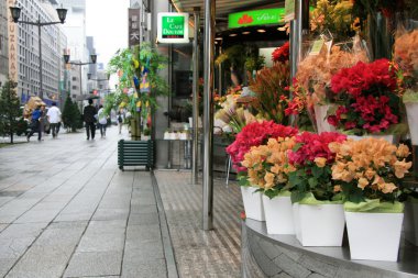 Çiçek Dükkanlar - ginza bölgesinde, tokyo, Japonya