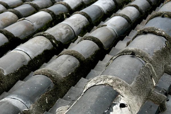 Roof Detail - Himeji Castle, Japan — Stock Photo, Image