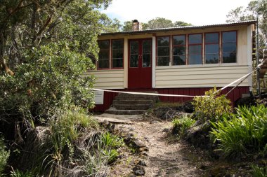 Rangitoto Adası, Yeni Zelanda