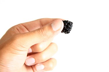 el tutarak taze böğürtlen