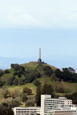 bir tree hill - Swansea, Yeni Zelanda