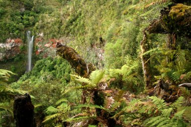 tupapakarua şelale - tongariro Ulusal Parkı, Yeni Zelanda