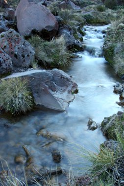 River - Tongariro National Park, New Zealand clipart