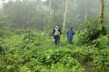 uzak Batı uganda